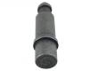 CAPSULE (MK-457281-1)